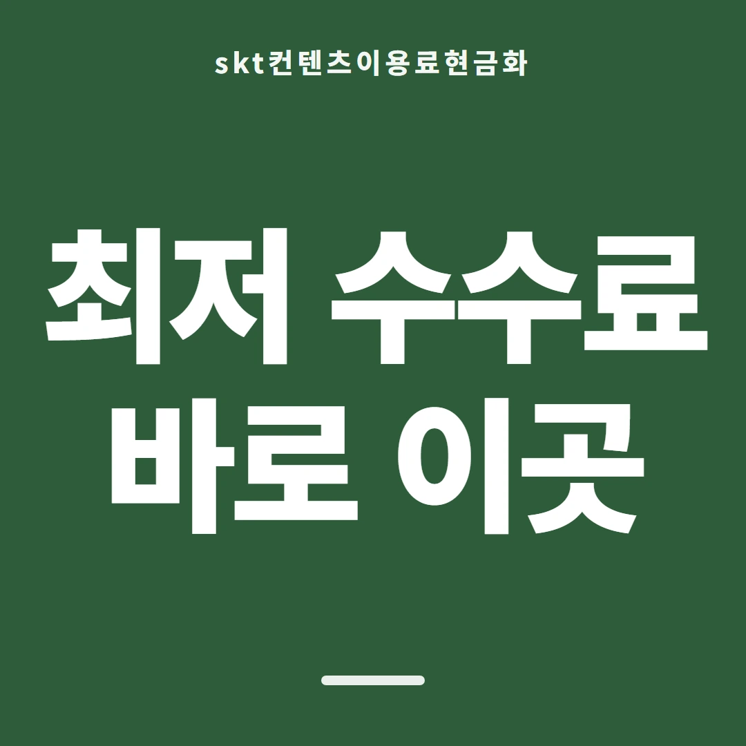 품티켓 SKT 콘텐츠이용료 앱스토어 결제 갈래 안내 이미지