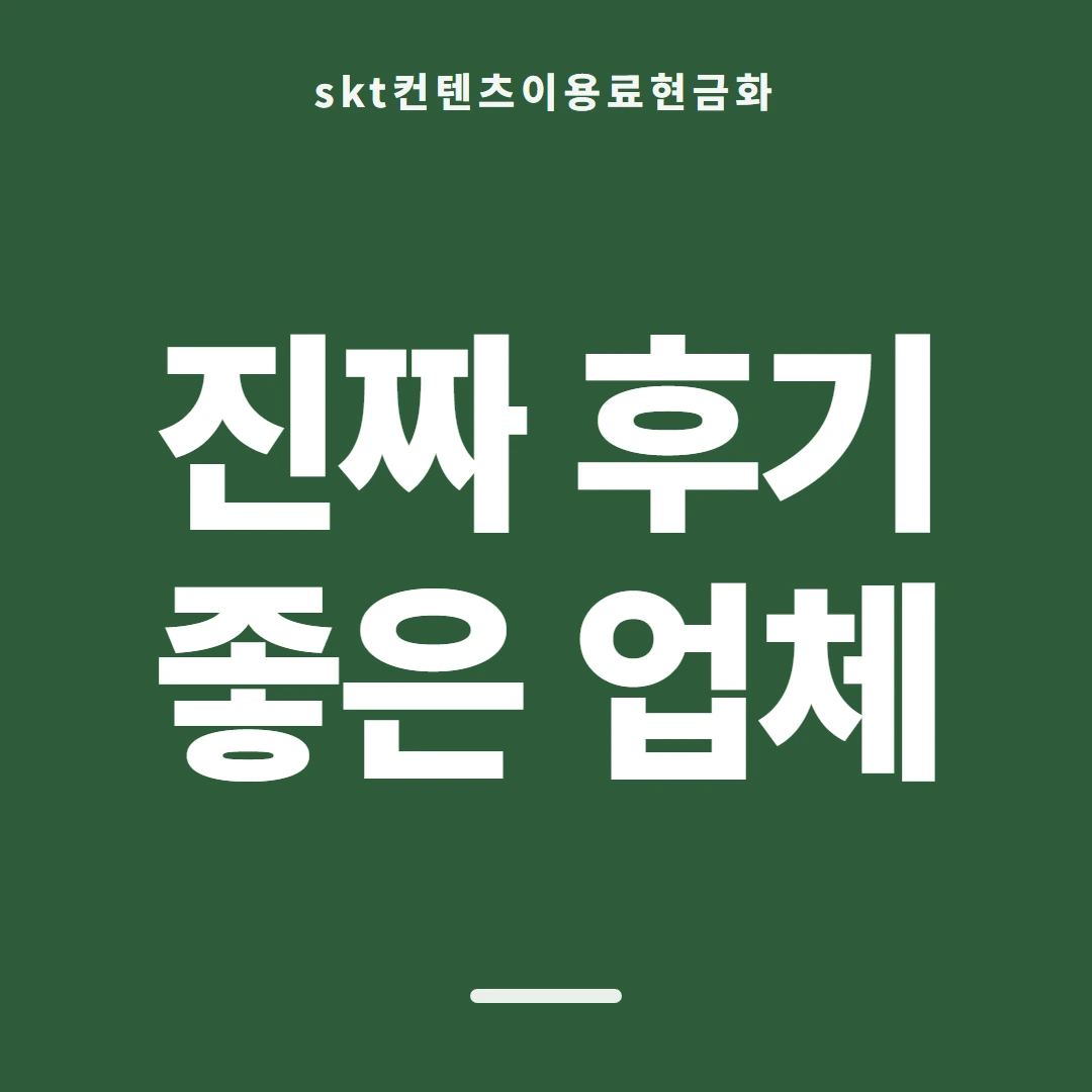 품티켓 SKT 콘텐츠이용료 값이 매겨지는 근거 안내 이미지