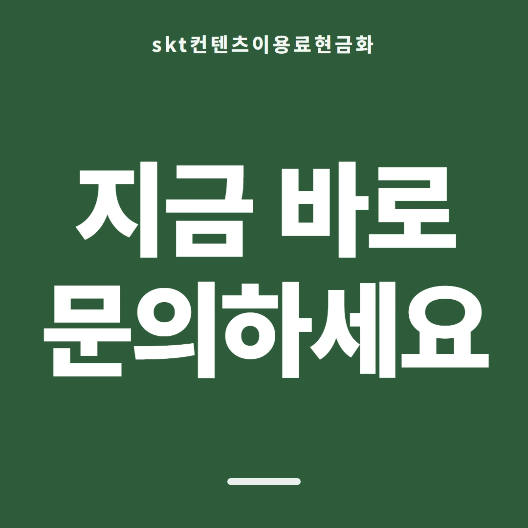 품티켓 SKT 콘텐츠이용료 회선별 안내 대조 안내 이미지